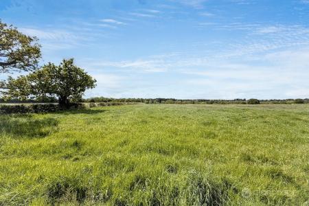 Media image 04