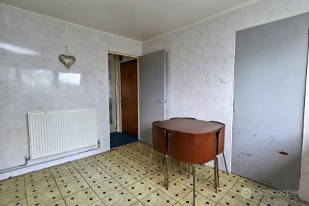 Media image 06