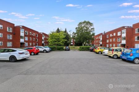 Media image 13