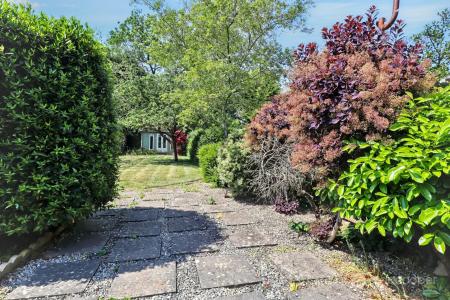 Media image 22