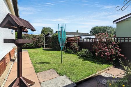 Media image 17