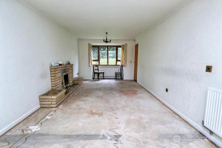 Media image 05