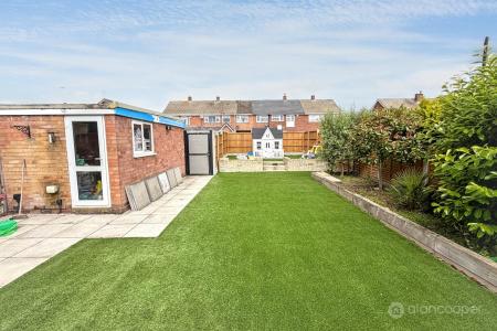 Media image 16