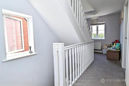 Media image 15
