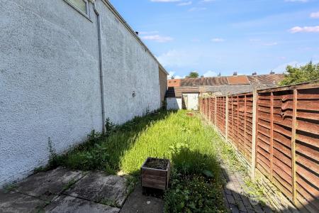 Media image 13