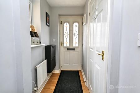 Media image 12