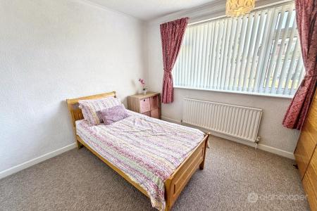 Media image 10