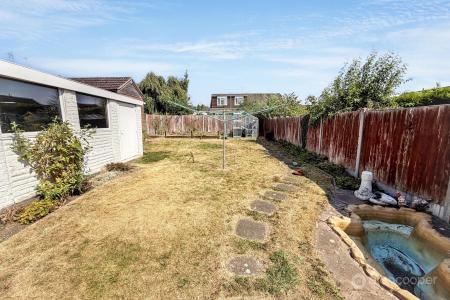 Media image 15