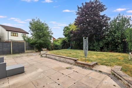 Media image 29