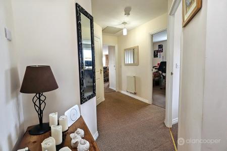Media image 10