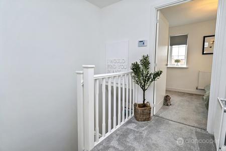 Media image 17