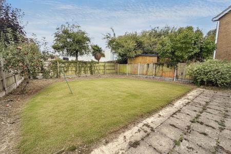 Media image 13