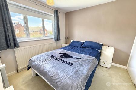 Media image 12