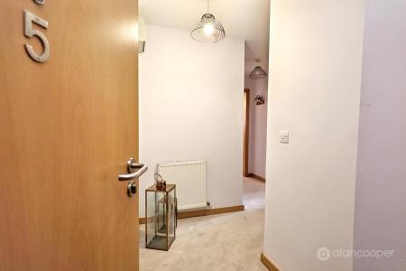 Media image 12