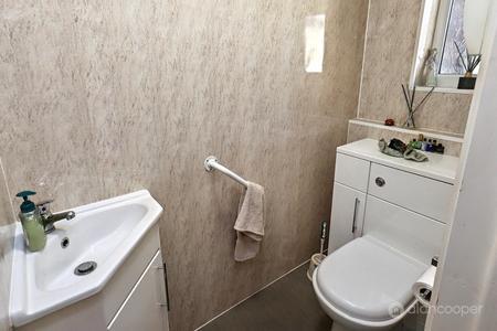 Media image 11