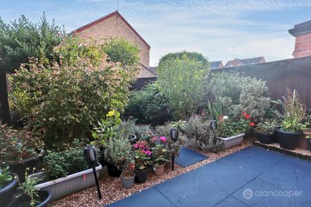 Media image 25