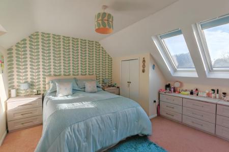 IMG_20241125_134802_