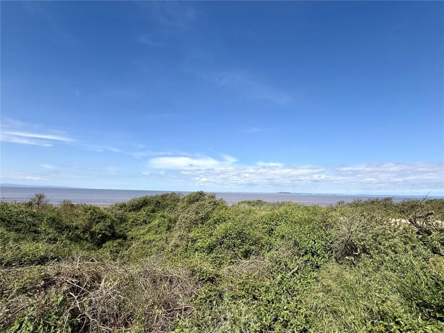 Image for Coast Road, Berrow