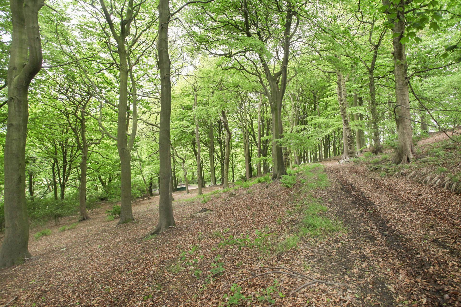 Romiley, Cheshire, SK6
