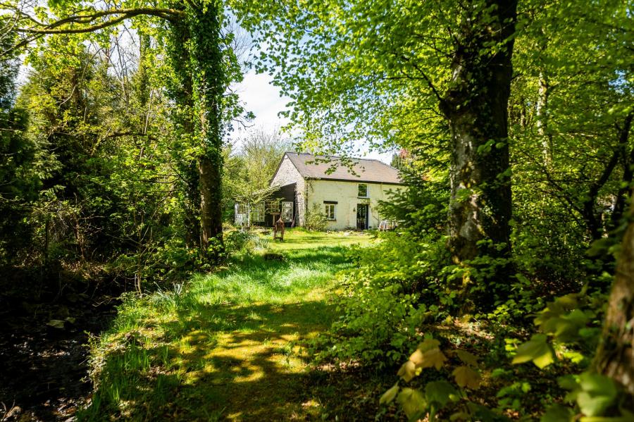 Bontnewydd