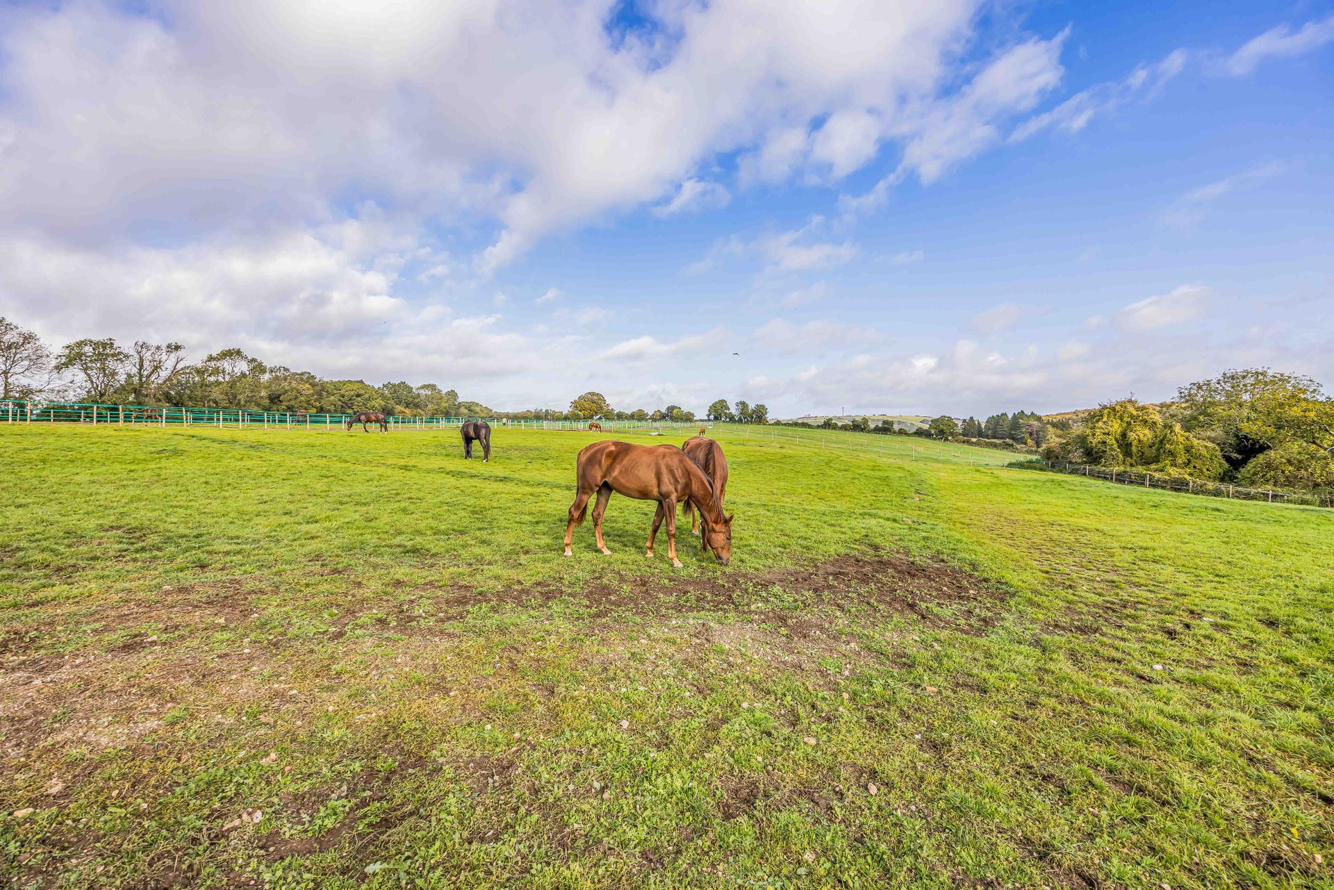Italian Farmhouse Rural Farm House for sale with 5 bedrooms, Clanfield, Hampshire | Fine & Country
